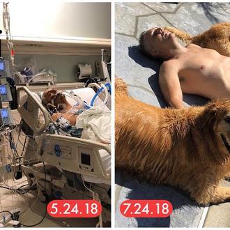 Un hombre recibe la visita de sus dos Golden Retriever …