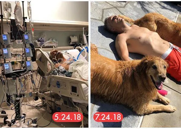 Un hombre recibe la visita de sus dos Golden Retriever en el hospital tras una operación de corazón