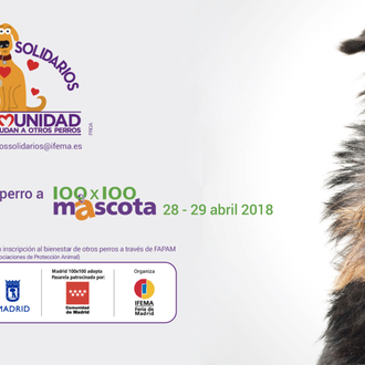 100x100 Mascota, ¡este año todos los perros son bienvenidos a …