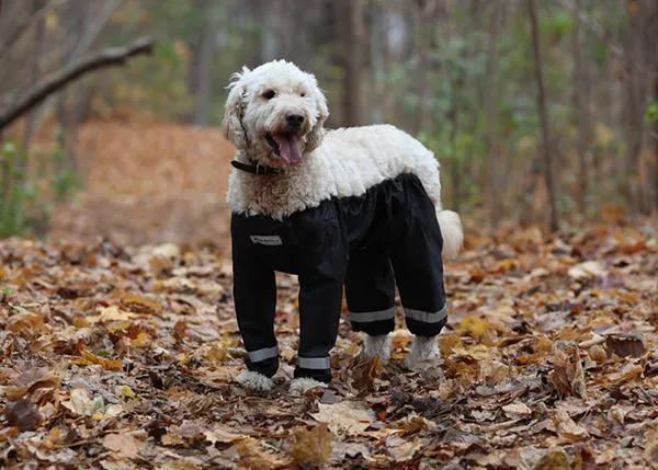 El friki dilema de los pantalones perrunos, en acción: el chubasquero de barriga y patas