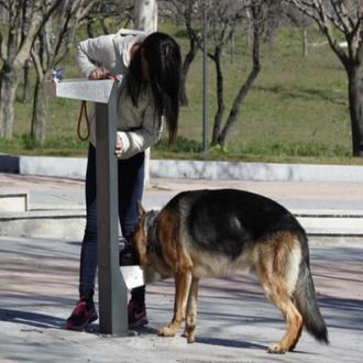 El Ayuntamiento de Carmona piensa en los perros y coloca …