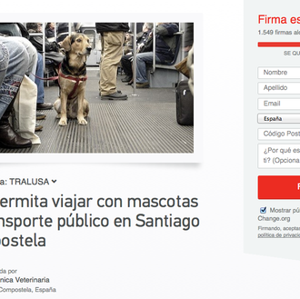 Los perros (pequeños) suben al autobús en Santiago de Compostela 