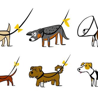 Los perros amarillos: una iniciativa extremadamente útil para ayudar a …