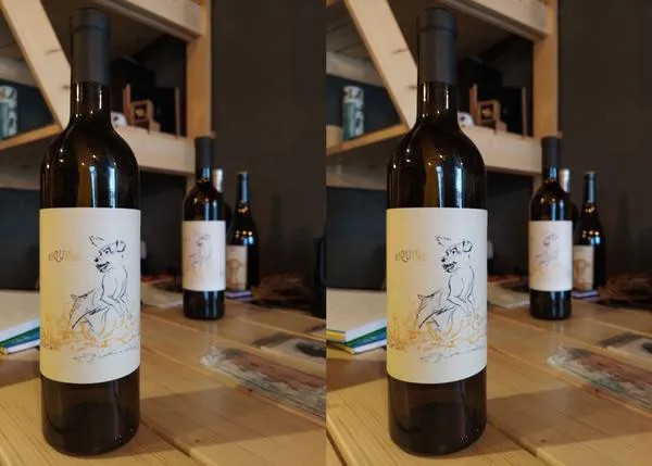 Riquiño, un vino bonito y único, perruno y solidario ¡para celebrar los amores perros y ayudar a los canes!