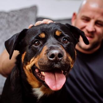 Historias de rescates mutuos: un Rottweiler con problemas de socialización …