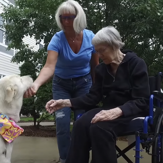 El poder del amor humano y el amor perruno: la …