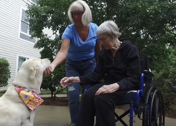 El poder del amor humano y el amor perruno: la historia de Missy (y las residencias de ancianos pet friendly)