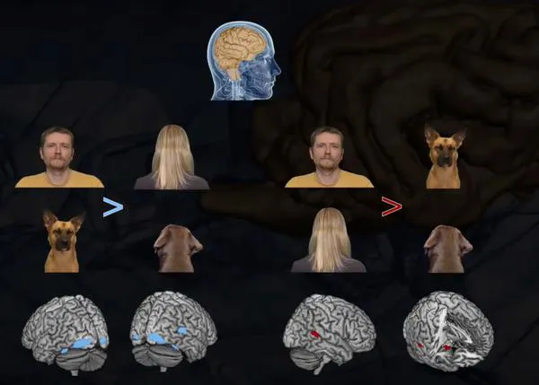 Los perros no le dan tanta importancia al rostro como los humanos