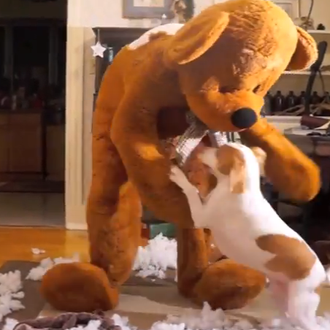 Peluches extra para una Navidad extra feliz con Maymo, el …