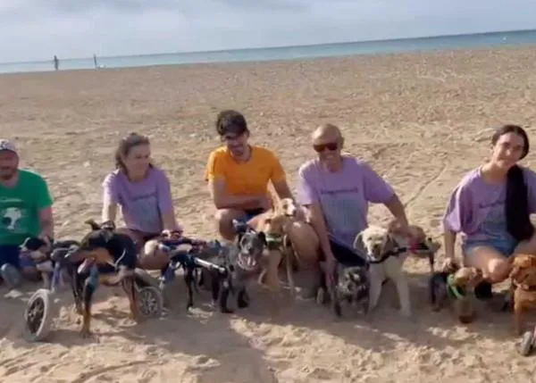 Las aventuras felices de los perros de BichosRaros en la playa canina de Mazarrón