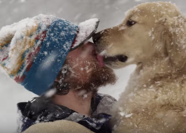 El (guapérrimo) héroe de la nieve: el gran vínculo entre un perro de rescate y su guía