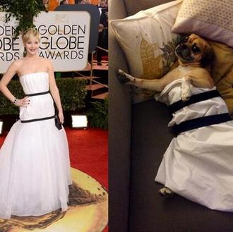 Resumen SrPerro de los Globos de oro 2014