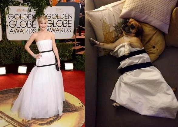 Resumen SrPerro de los Globos de oro 2014
