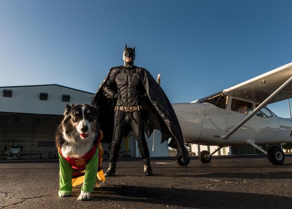 Batman versión rescatador de perros y gatos: un hombre disfrazado echa una pata a los animales que lo necesitan