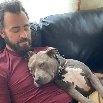 El zampable mensaje de Justin Theroux a su amor perruno …