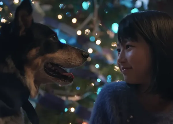 La Navidad es perruna y es azul: Crayola crea un anuncio de lo más bonito que fomenta la empatía con los perros