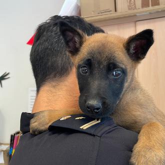 Policías y guías caninos traen regalos y alegría a los …