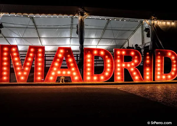 La banda sonora de la Navidad en Madrid: petardos, bombetas y pirotecnia por doquier (pese a que está prohibido)