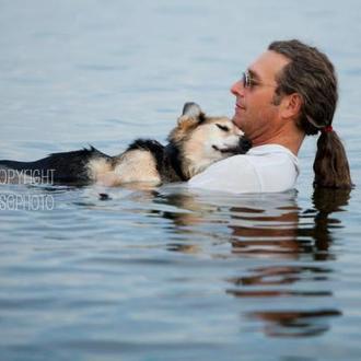 Perros que completan humanos, perros que nunca se olvidan: John …