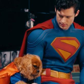 Llega el Superman más GUAU de todos los tiempos gracias …