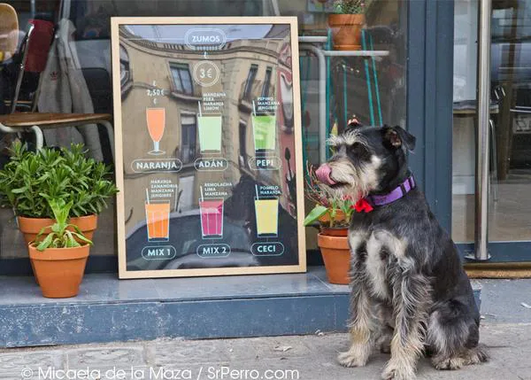25 sitios para disfrutar de excelentes zumos naturales o smoothies, junto a tu perro