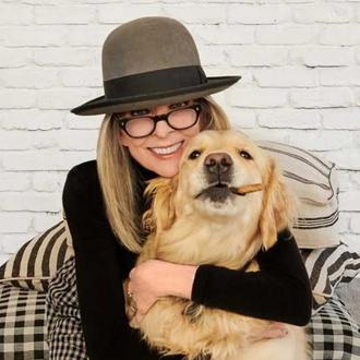 Reggie, la perra de Diane Keaton, hereda 5 millones de …