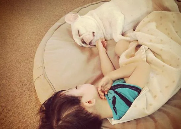 Relatos perrunos en instagram: el niño japonés y su amigo el bulldog francés