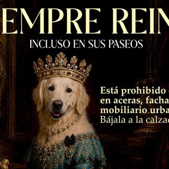 En Elche los perros no deben hacer pis en las …