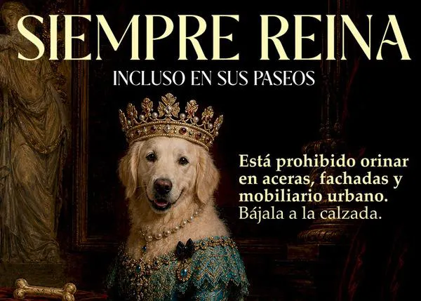 En Elche los perros no deben hacer pis en las aceras, parterres o zonas ajardinadas, solo en la calzada (las multas son de hasta 750 euros)