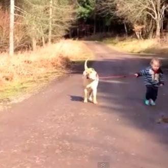 Momentos perrunos que generan sonrisas: los dos amigos