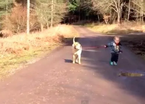 Momentos perrunos que generan sonrisas: los dos amigos