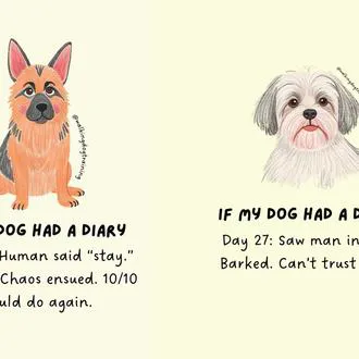 advice-img
