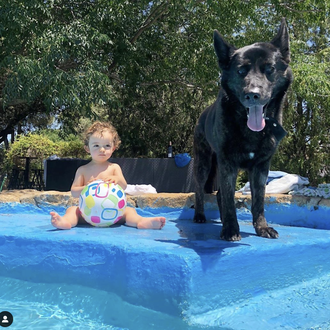La jubilación de los perros policía y el (gran) trabajo …