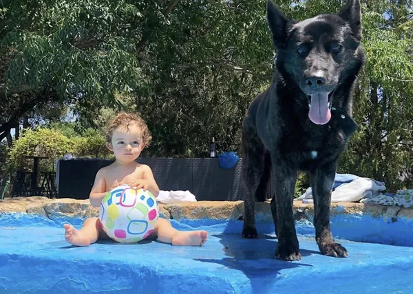 La jubilación de los perros policía y el (gran) trabajo de Héroes de 4 Patas