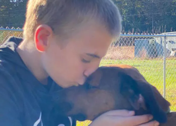 Un chaval de 12 años ha ayudado a que cerca de 5000 perros encuentren un hogar y sean adoptados