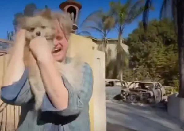 El perro que protagonizó un emotivo momentazo en los incendios de Los Ángeles ha inspirado un cambio esencial en la ley