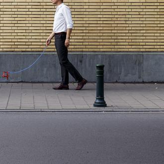Europa contra la cría y comercio ilegal de perros y …