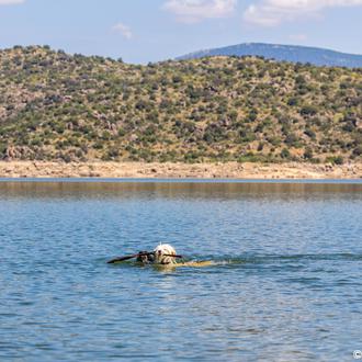 Piscinas naturales, pozas y embalses en España donde bañarte junto …