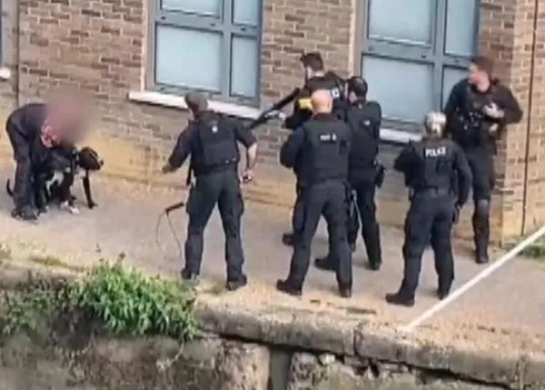 La policía de Londres recibe multitud de críticas por matar a disparos a los dos perros de un hombre sin hogar