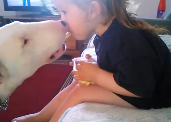 El desayuno compartido, sabe mejor: una niña da de comer a su bull terrier ¡con la boca!