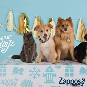 Objetivo: lograr la adopción de 9000 animales en 4 días