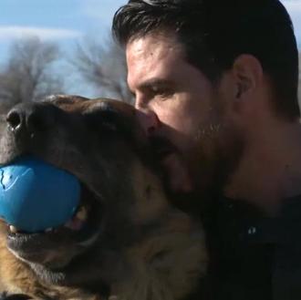Un reencuentro milagroso: al ir a adoptar a un perro …