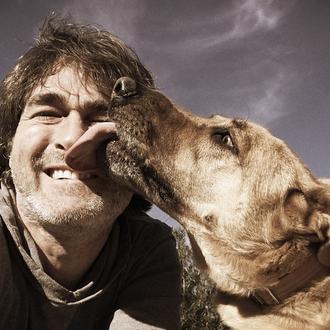 Los perros reconocen la felicidad en las caras humanas más …
