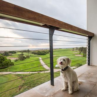 Paseos en la naturaleza y cenas escuchando las olas:  el …