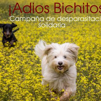 Campaña solidaria de desparasitación en Tiendanimal, donan collares o pipetas …