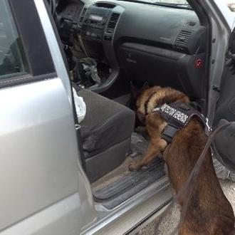 Los perros detectores de veneno, una ayuda clave para el …
