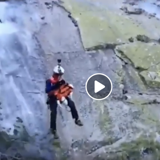Los bomberos rescatan en La Pedriza a una perra que …