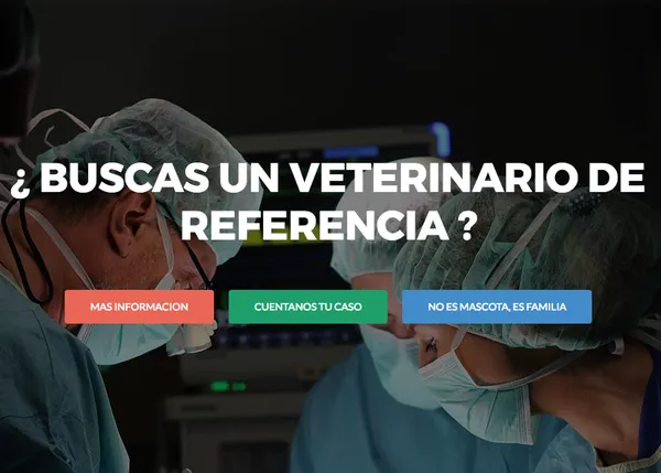 EliteVeterinaria: una plataforma para ayudarnos a localizar a veterinarios especialistas