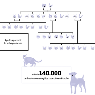 Esterilización e identificación de perros (y gatos) a precios reducidos …