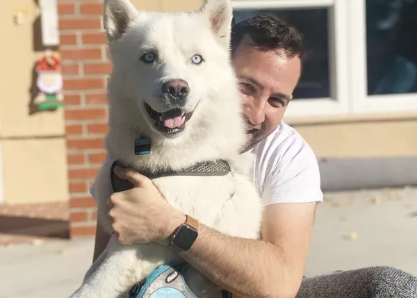 Fenix, el perro 